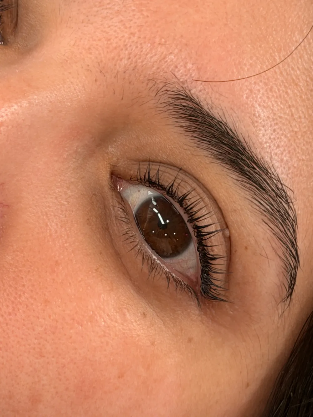 Lash Lift and Tint